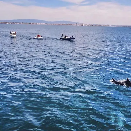 Imagine By Algarve Vacation *