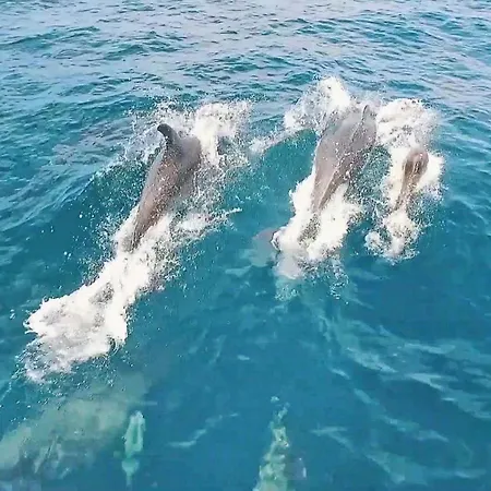 Imagine By Algarve Vacation * Armacao de Pera